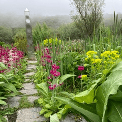 Dyffryn Fernnant Gardens, Pembrokeshire