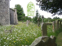 Family Mini-beast Hunt in Lawrenny Churchyard
