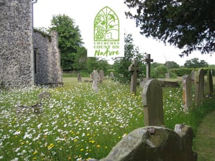 Family Mini-beast Hunt in Lawrenny Churchyard