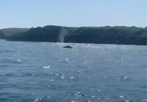 Having a whale of a time at Tenby!