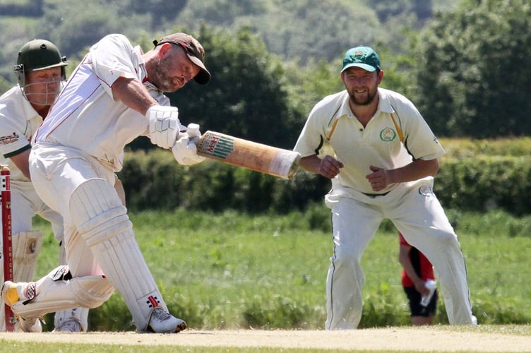 Cricket