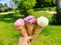 Summer day dilemma for Penally Bridge Club players!
