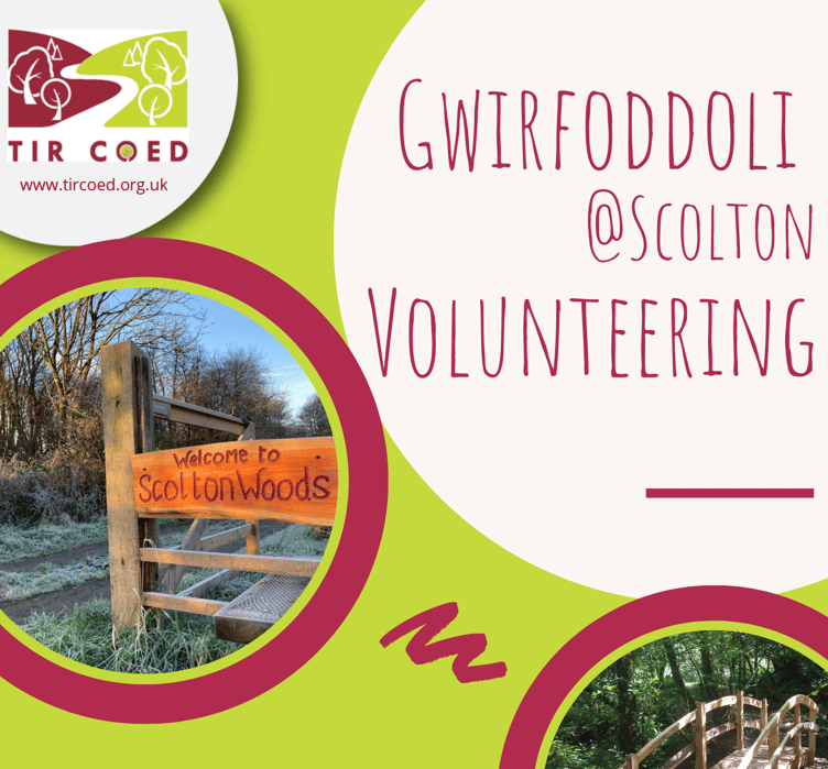 Volunteering at Scolton - poster