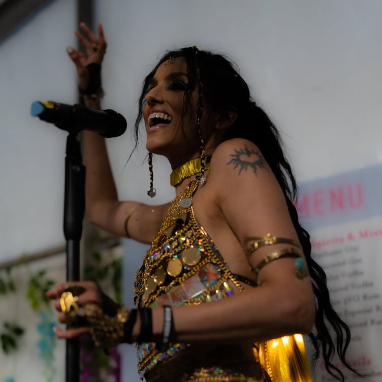 Welshstock - entertainer