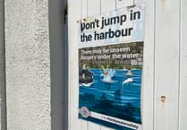 OPINION: Will the harbour ‘fun police’ beat the 'thrillseekers'