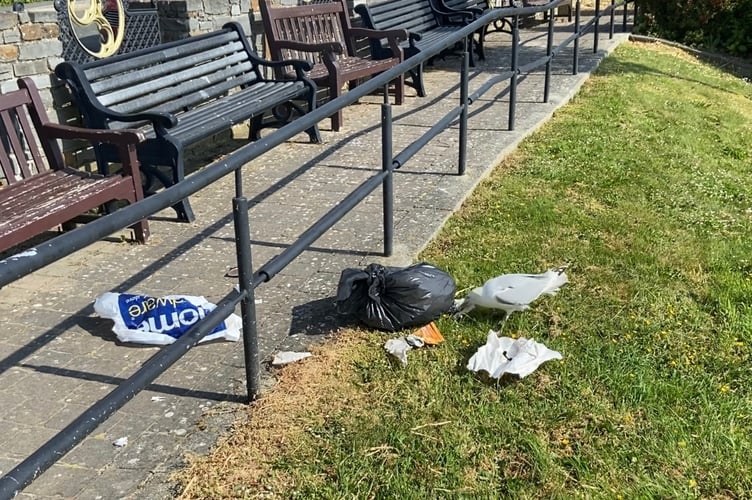 Tenby rubbish