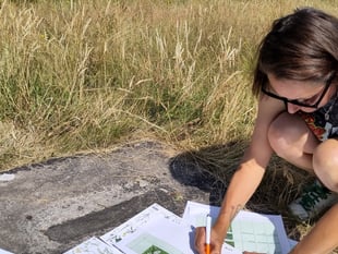 Plant survey volunteers wanted for Tenby garden wild space