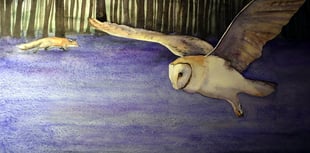 Rediscover The Lost Words of nature and culture at Oriel y Parc