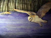 Rediscover The Lost Words of nature and culture at Oriel y Parc