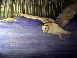 Rediscover The Lost Words of nature and culture at Oriel y Parc