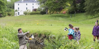 A whole host of events and activities for families this summer
