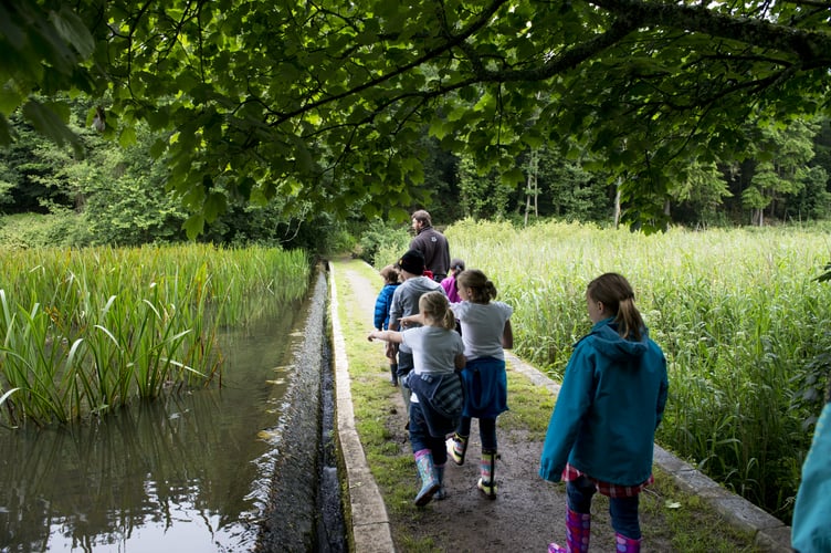 Children walking on the Hidden Bridge at Stackpole, Pembrokeshire.