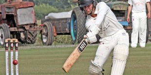 Cresselly Cricket Club plans second pitch