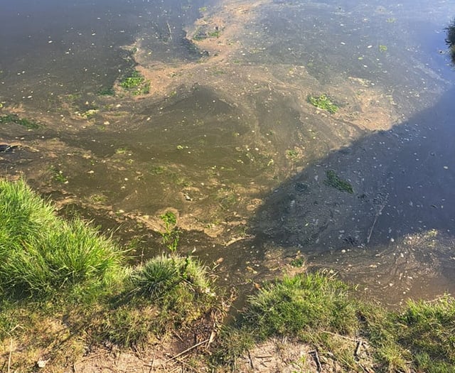 Water bosses grilled by MSs over illegal sewage spills