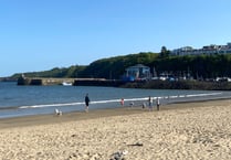 Saundersfoot councillor calls for calm over recent pollution 'alerts'