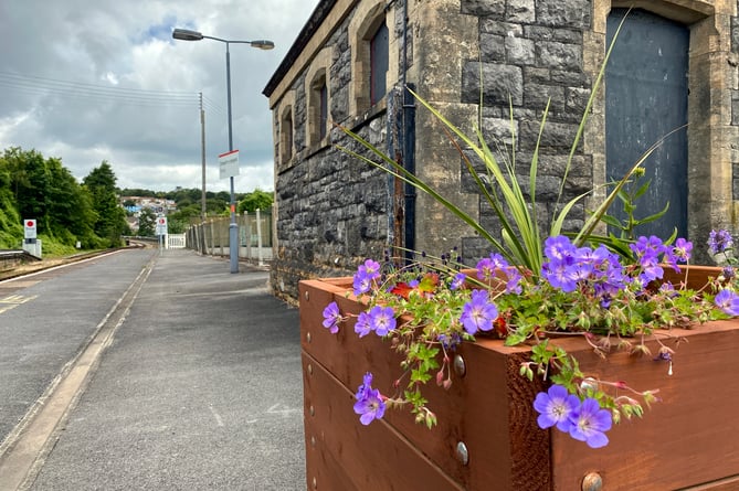 Colourful planter at Tenby Railway Station