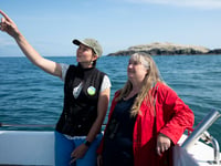 Minister visits Pembrokeshire islands as concern over bird flu grows