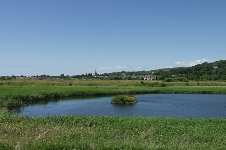 Y Pwll Lludw - Ashpits Pond