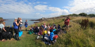 Celebrate Wildlife Trust National Marine Week in Pembrokeshire