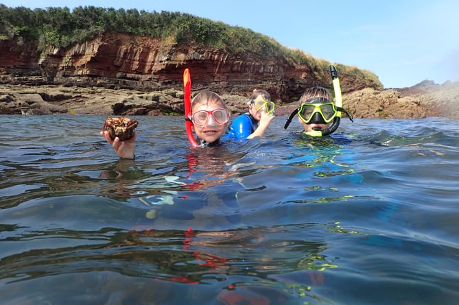 Pupils from Broad Haven Community School having found a common spider crab (Maja brachydactyla) during their snorkel safari. 