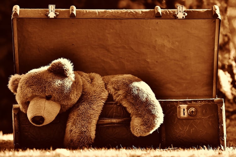 Teddy bear in suitcase