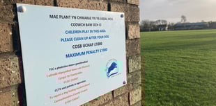 Carmarthenshire Council dog order renewed
