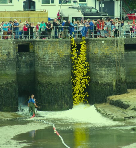 Saundersfoot duck races