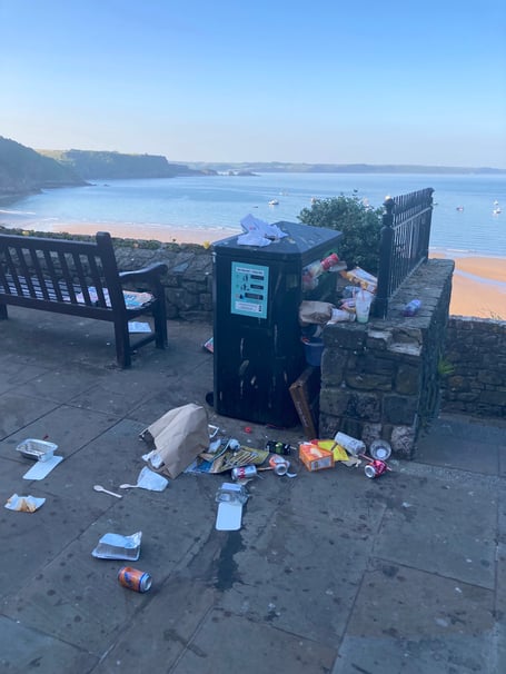 Tenby litter