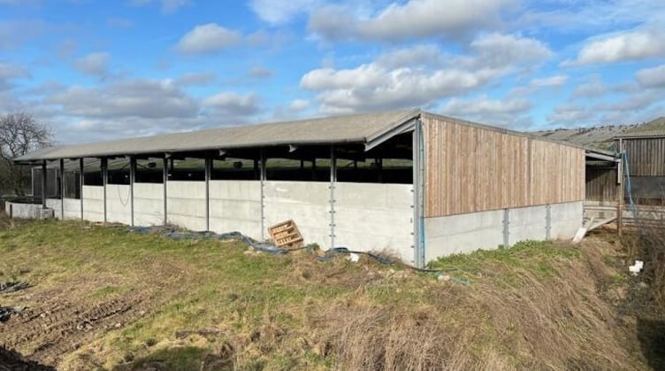 Hoof building
