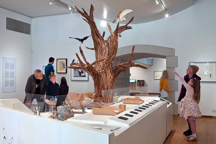 Visit Oriel y Parc Gallery and Visitor Centre in St Davids this summer for a series of activities and workshops inspired by The Lost Words.