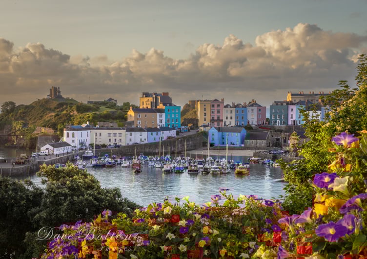 Tenby harbour framed in flowers
