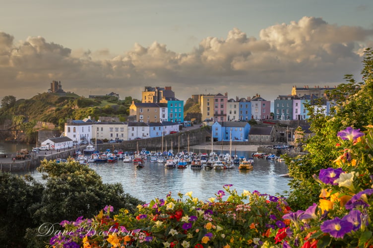 Tenby harbour framed in flowers
