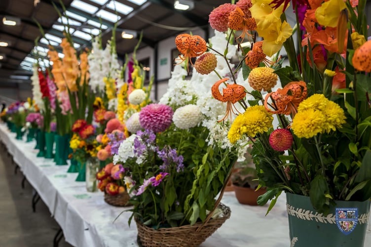 A scene from a previous Pembrokeshire County Show
