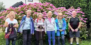 July was a mixed bag for Steps2Health walkers