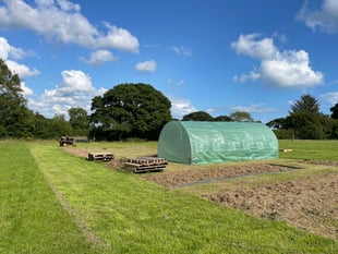 New allotments for local community created in Amroth