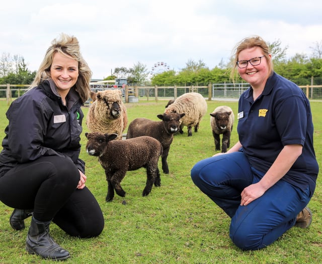 First things first- Farming Connect’s new mandatory e-learning courses