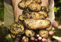 Policy must not hinder food production in Pembrokeshire says NFU Cymru