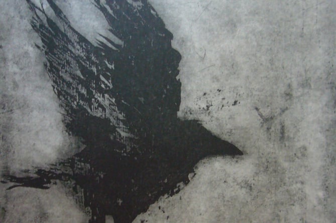 Crow by Judy Logan