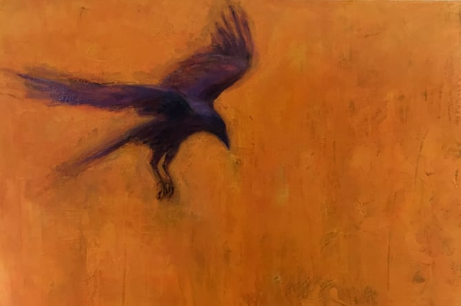 Crow by Judy Logan