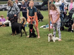 70th Martletwy and District YFC Show