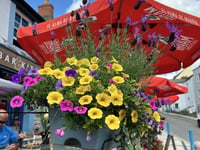 Saundersfoot a finalist in RHS Britain in Bloom Finals