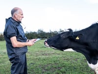 Welsh farms disease surveillance pilot aims to control infection
