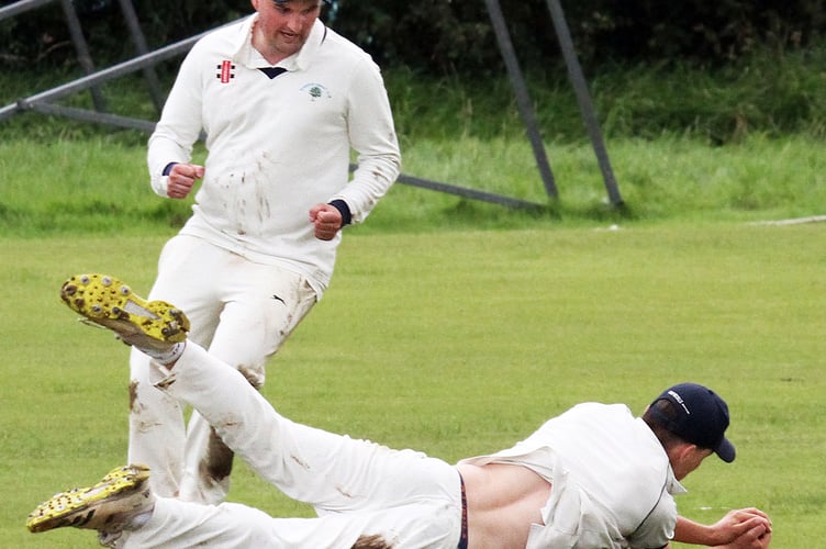 Cricket
