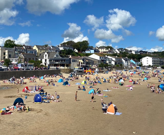 Beach-goers warned not to leave disposable BBQs behind