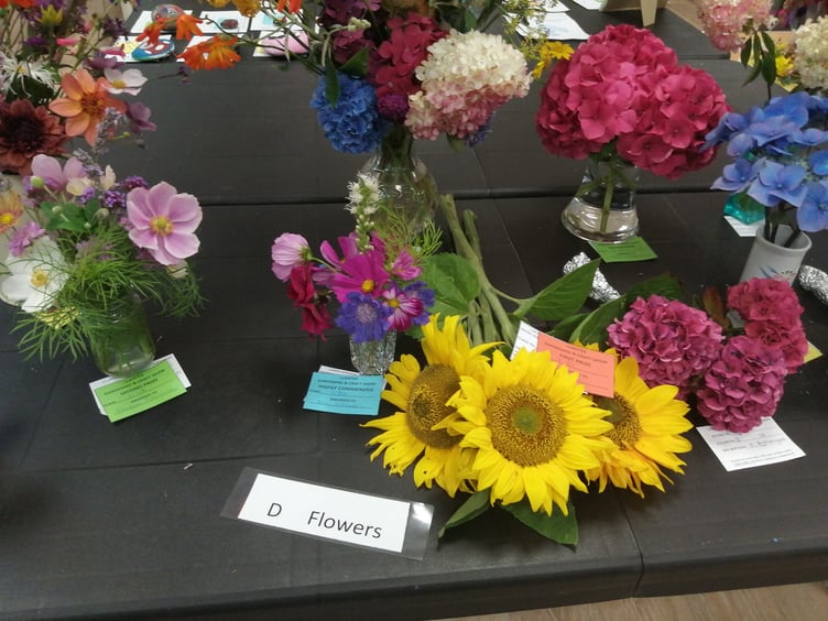 Exhibit at Llanteg Show