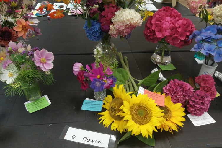 Exhibit at Llanteg Show