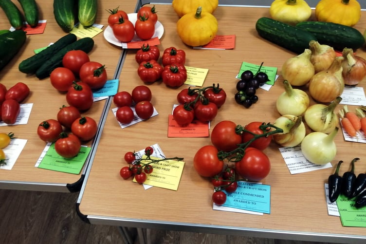 Exhibit at Llanteg Show