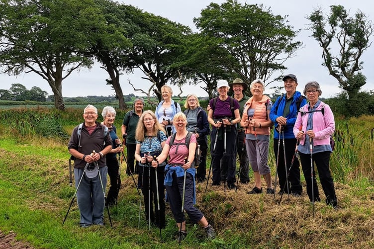 Nordic Walkers at Minwear Woods