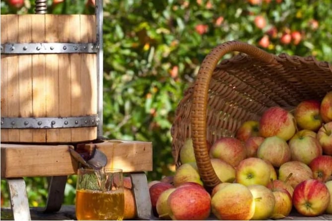 Carew Castle’s apple pressing events will take place on Saturday 23 September and Saturday 7 October.