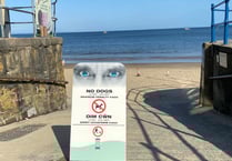 Clean up and dispose correctly, or face fines - dog owners urged